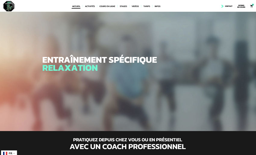 ScreenshotRésumé Gweilo studio&rsquo; - Gweilo studio'